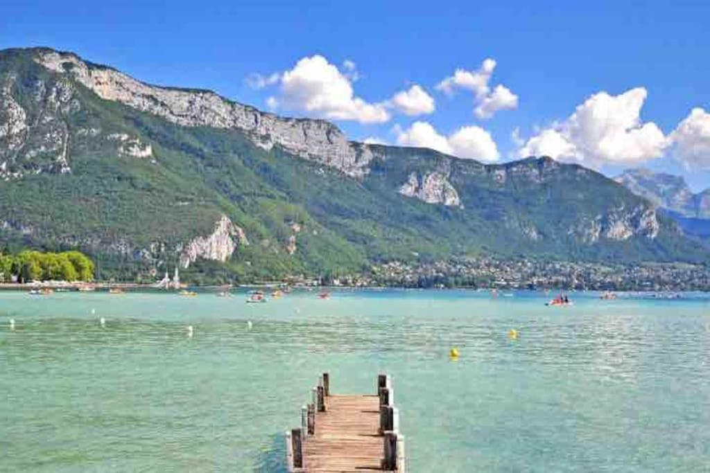 La Perle Du Thiou - Charmant T3 Au Centre D'Annecy Avec Parking Prive Exterior foto